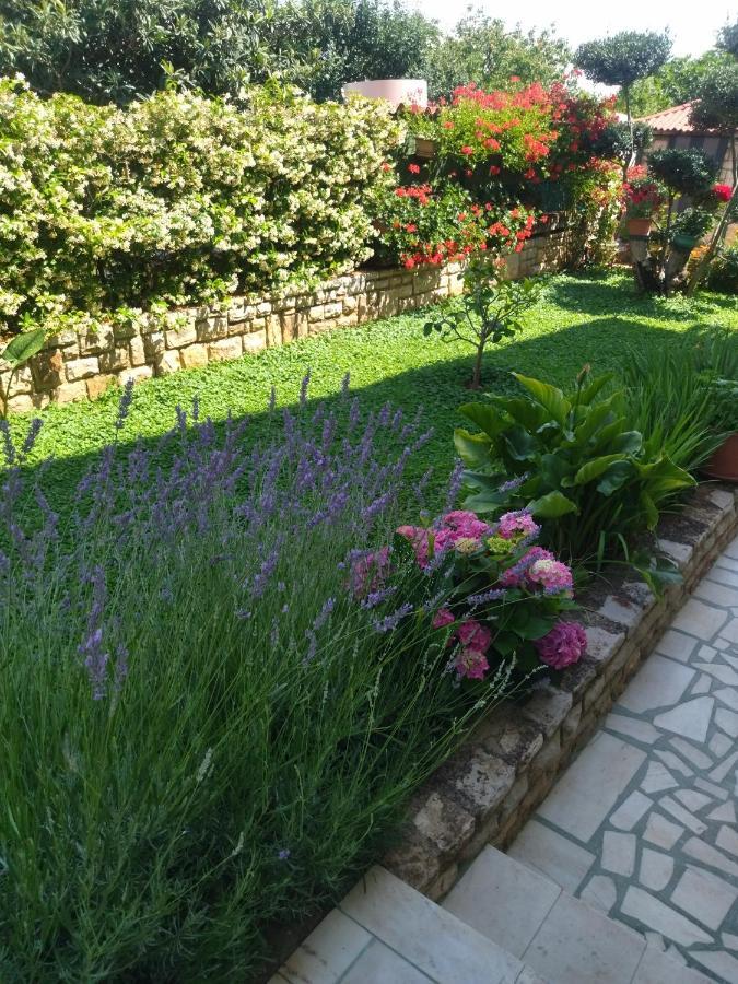 Zelena Oaza Apartment Novigrad (Istria) Exterior foto
