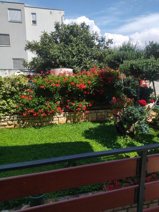 Zelena Oaza Apartment Novigrad (Istria) Exterior foto