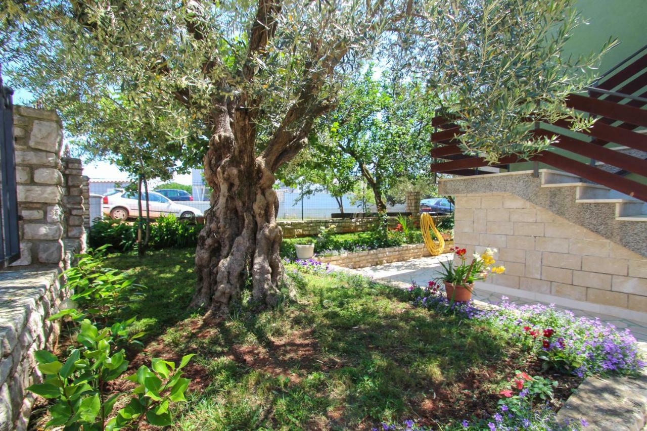 Zelena Oaza Apartment Novigrad (Istria) Exterior foto